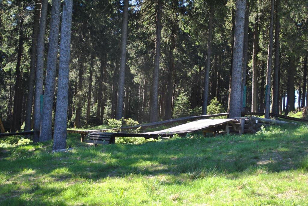 Harz-Zauber Apartment Браунлаге Екстериор снимка