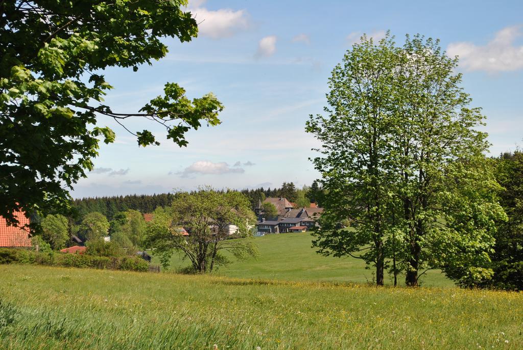 Harz-Zauber Apartment Браунлаге Екстериор снимка